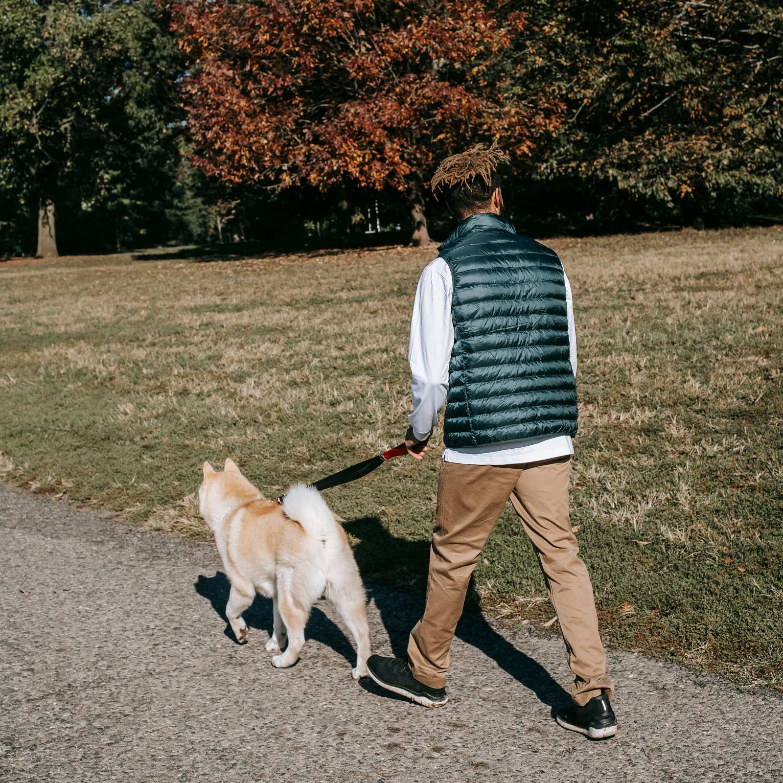 Dog on a leashed walk through Fells Point with a BluePawSky caregiver