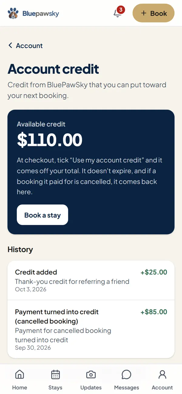 Account credit: $110.00 available and the history of credits (example data)