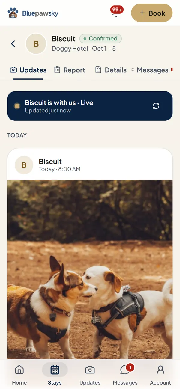 A stay's Updates on a phone: Biscuit is with us, live, with a photo from today (example data)