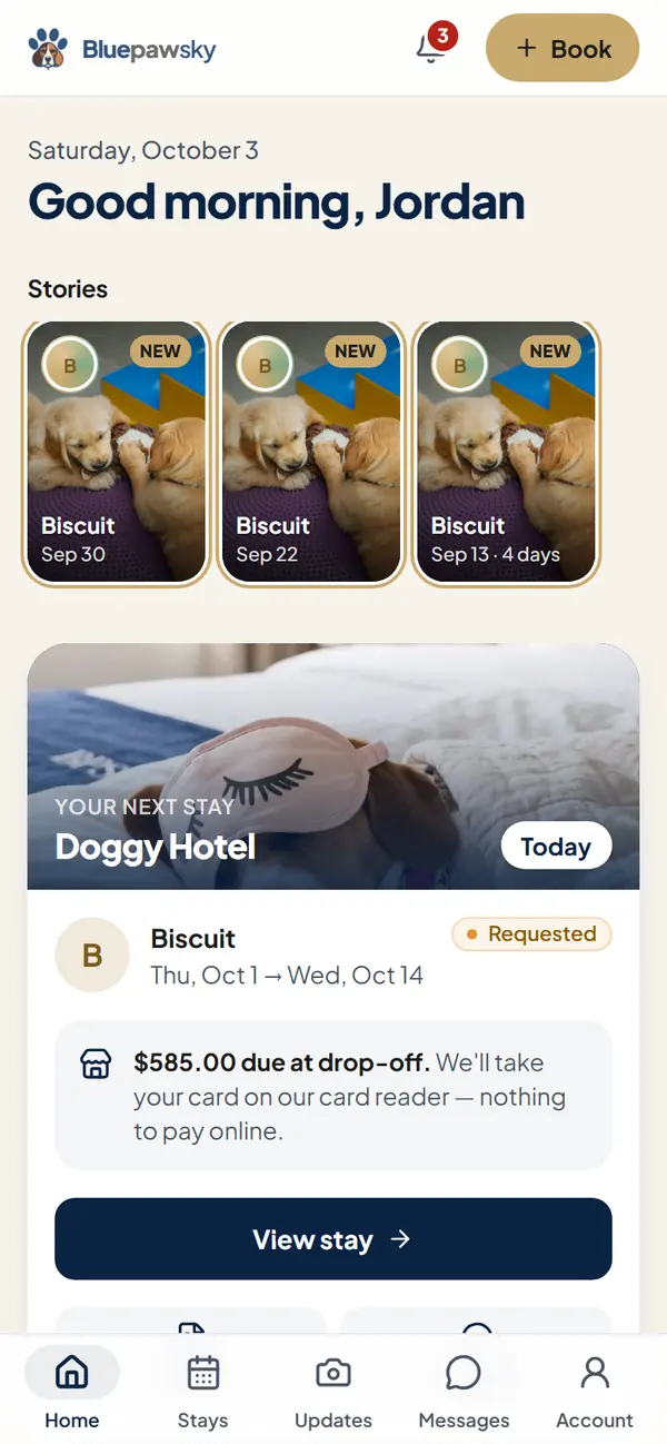 BluePawSky Home on a phone: a greeting, Stories from recent stays and the next booking (example data)